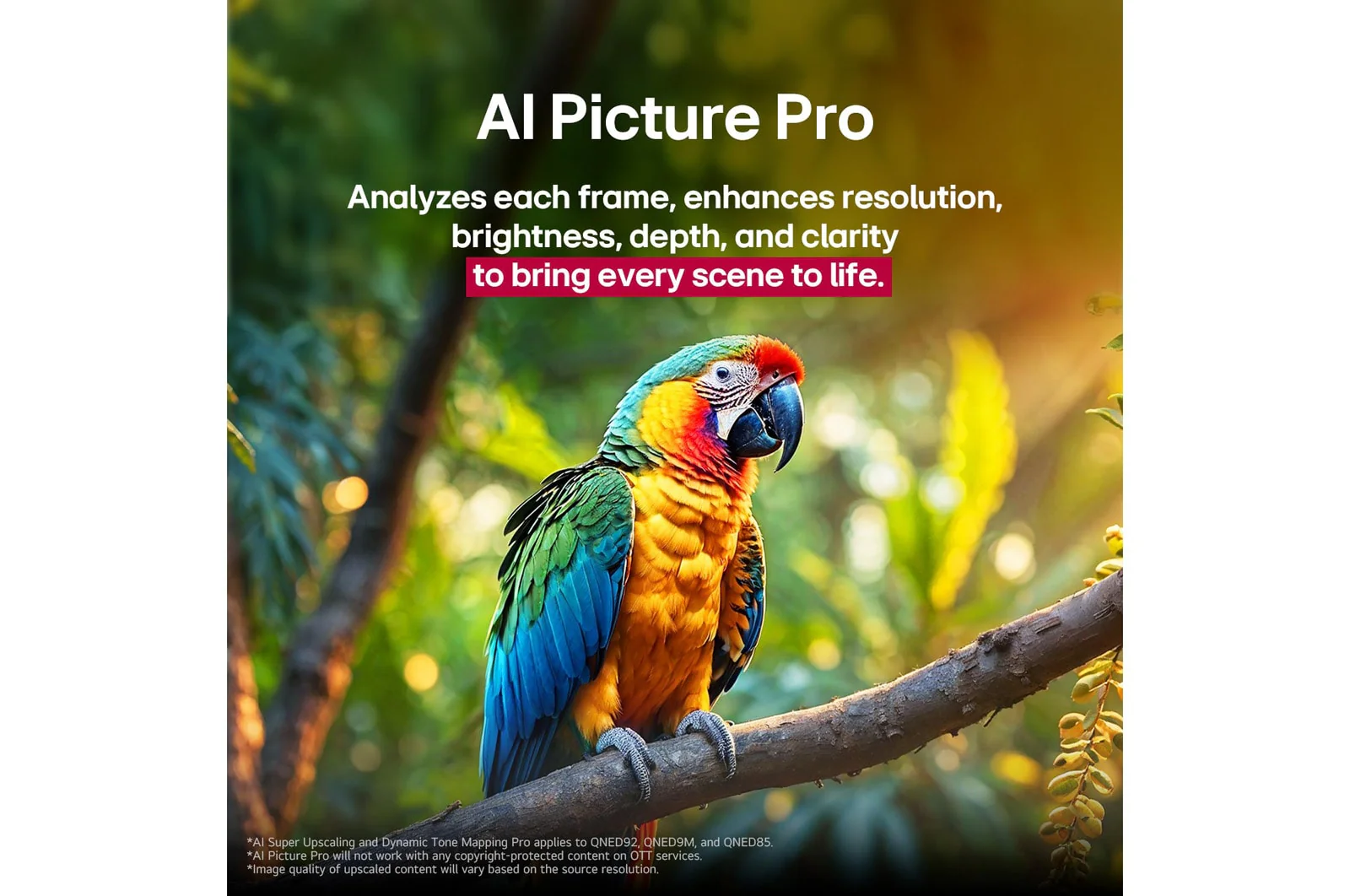 تلفاز LG UHD AI UA85 75 بوصة 4K مع HDR10 ومساحة تحكم صوتي ذكي من LG - Image 8