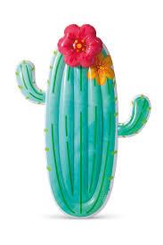 CACTUS FLOAT