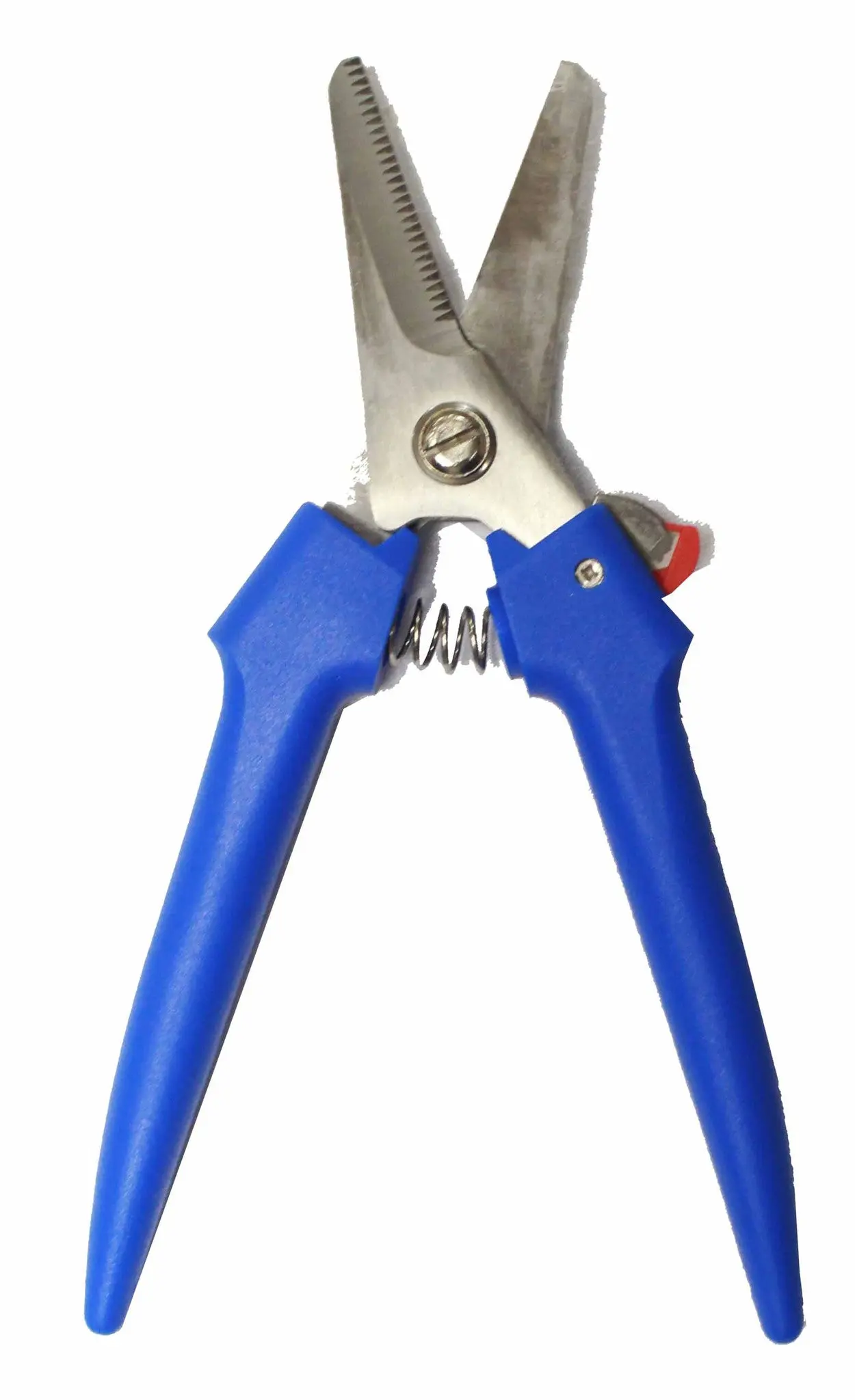 صورة مصغرة 1