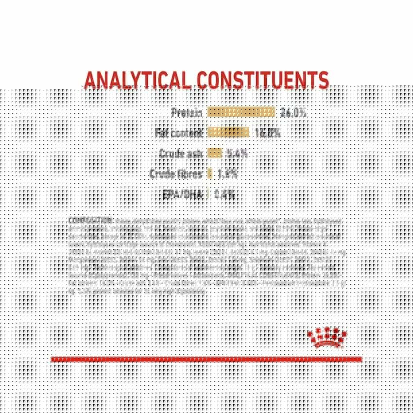 طعام جاف لكلاب بوميرانيان البالغة، 1.5كغ من ROYAL - Image 3