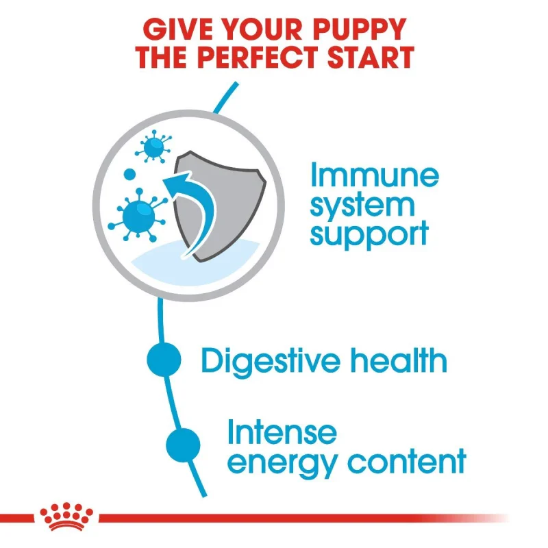 طعام جاف للجِراء الصغيرة لدعم المناعة والهضم، 800 غ من Royal Canin - Image 5