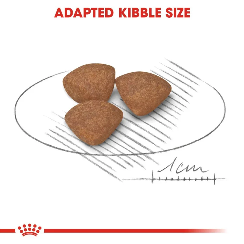 طعام جاف للجِراء الصغيرة لدعم المناعة والهضم، 800 غ من Royal Canin - Image 7
