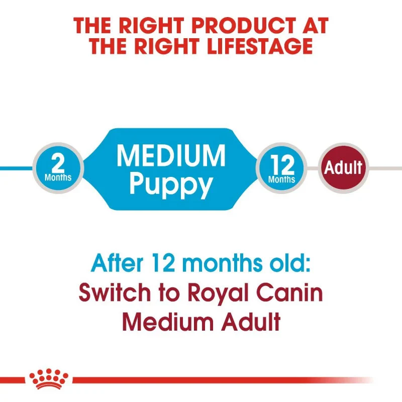 طعام جاف للجراء والأمهات الصغيرة (Mini Starter) لدعم الهضم، 1 كجم من Royal Canin - Image 2