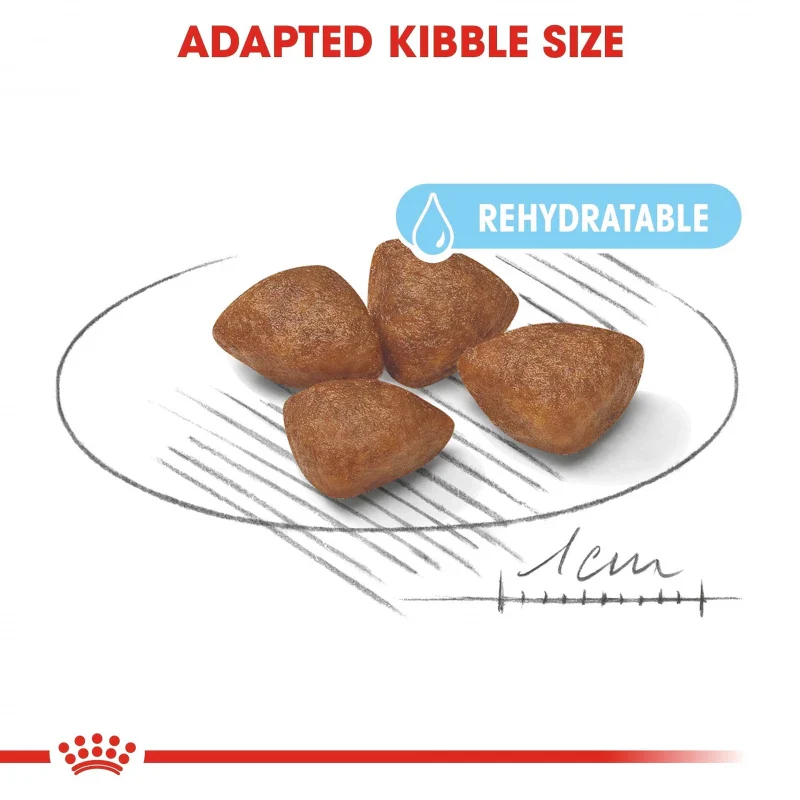 طعام جاف للجراء والأمهات الصغيرة (Mini Starter) لدعم الهضم، 1 كجم من Royal Canin - Image 3