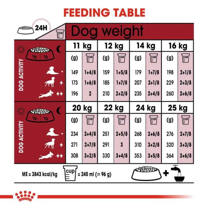 طعام جاف للكلاب المتوسطة البالغة لدعم المناعة والوزن، 15 كجم من Royal Canin - Image 5
