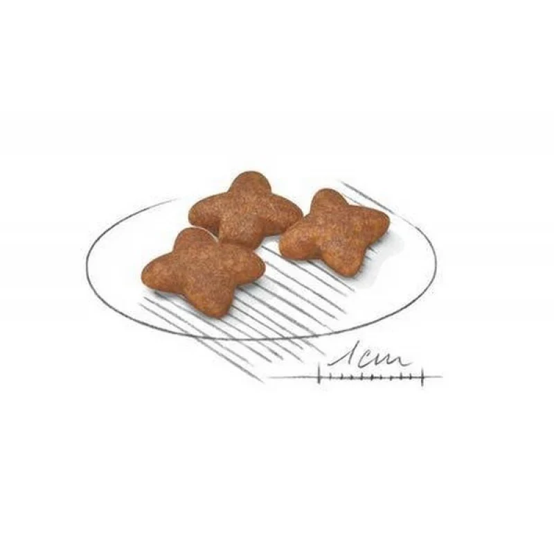 طعام جاف للكلاب الصغيرة البالغة لدعم الطاقة وصحة الجلد، 2 كجم من Royal Canin - Image 2