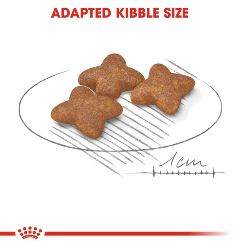 طعام جاف للكلاب الصغيرة البالغة لدعم الطاقة وصحة الجلد والفرو، 4 كجم من Royal Canin - Image 4