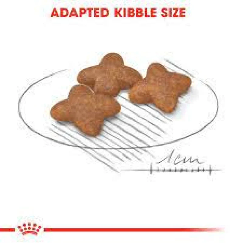 طعام جاف للكلاب الصغيرة البالغة لدعم الوزن والجلد، 800 غ من Royal Canin - Image 3