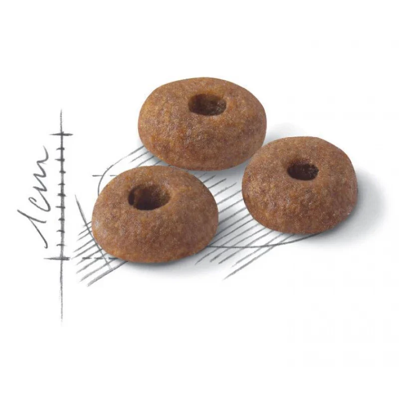 طعام جاف للقطط البالغة (1-7 سنوات) لصحة الجهاز البولي، 4 كجم من Royal Canin - Image 2