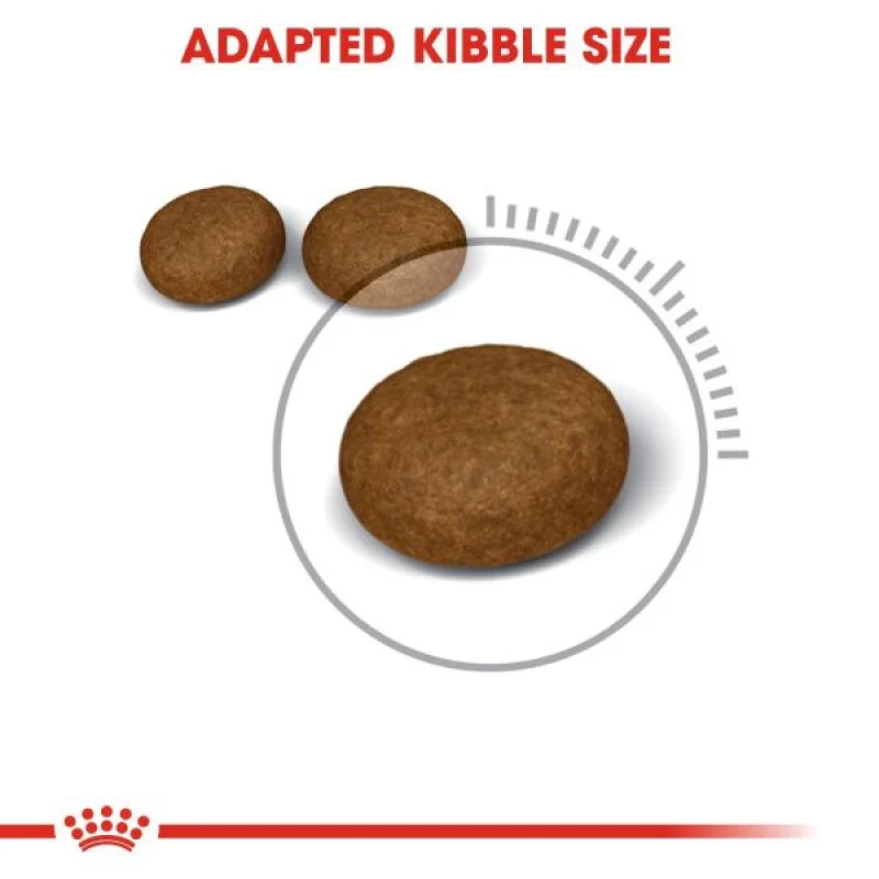 طعام جاف للقطط لدعم صحة الجلد والفرو بـ أوميغا 3 و6، 4 كجم من Royal Canin - Image 2