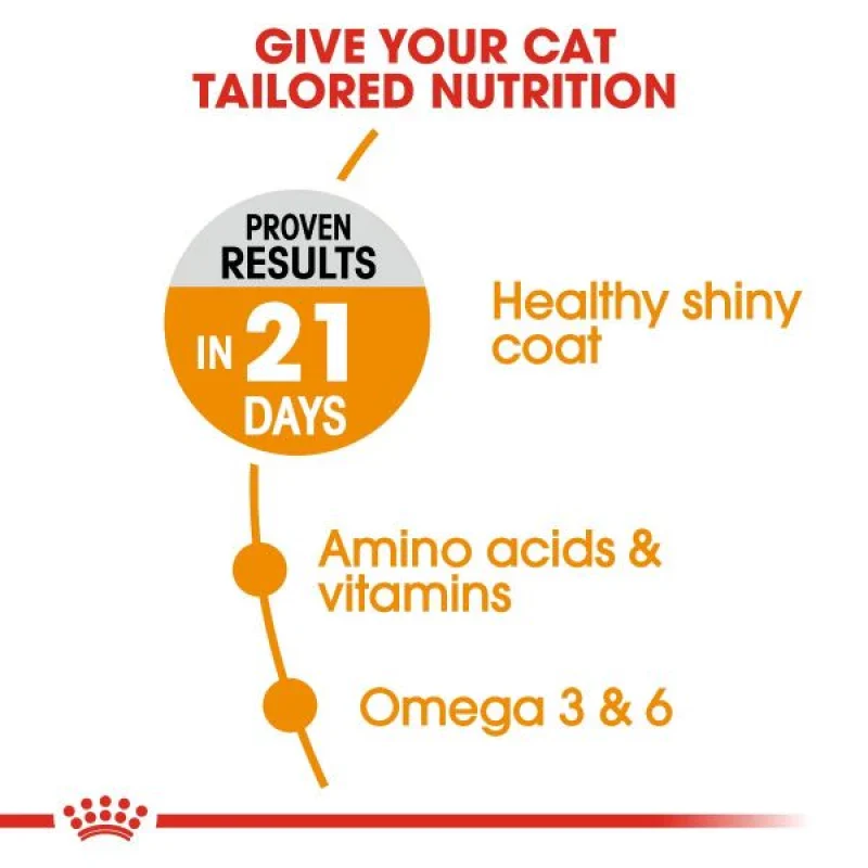 طعام جاف للقطط لدعم صحة الجلد والفرو بـ أوميغا 3 و6، 4 كجم من Royal Canin - Image 3