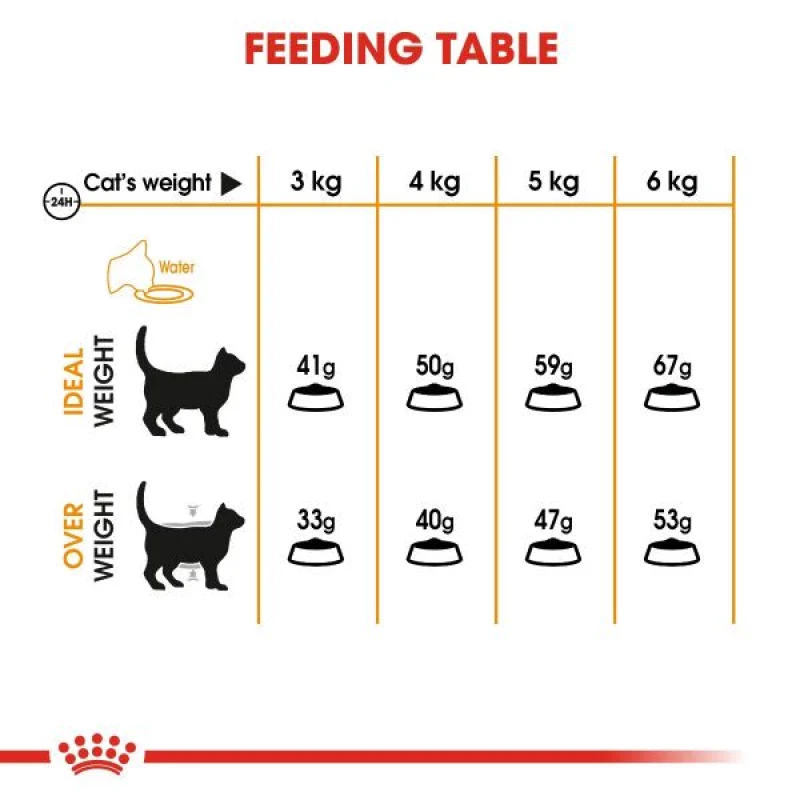 طعام جاف للقطط لدعم صحة الجلد والفرو بـ أوميغا 3 و6، 4 كجم من Royal Canin - Image 5