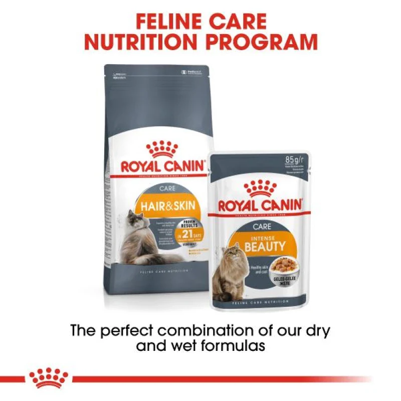 طعام جاف للقطط لدعم صحة الجلد والفرو بـ أوميغا 3 و6، 4 كجم من Royal Canin - Image 6