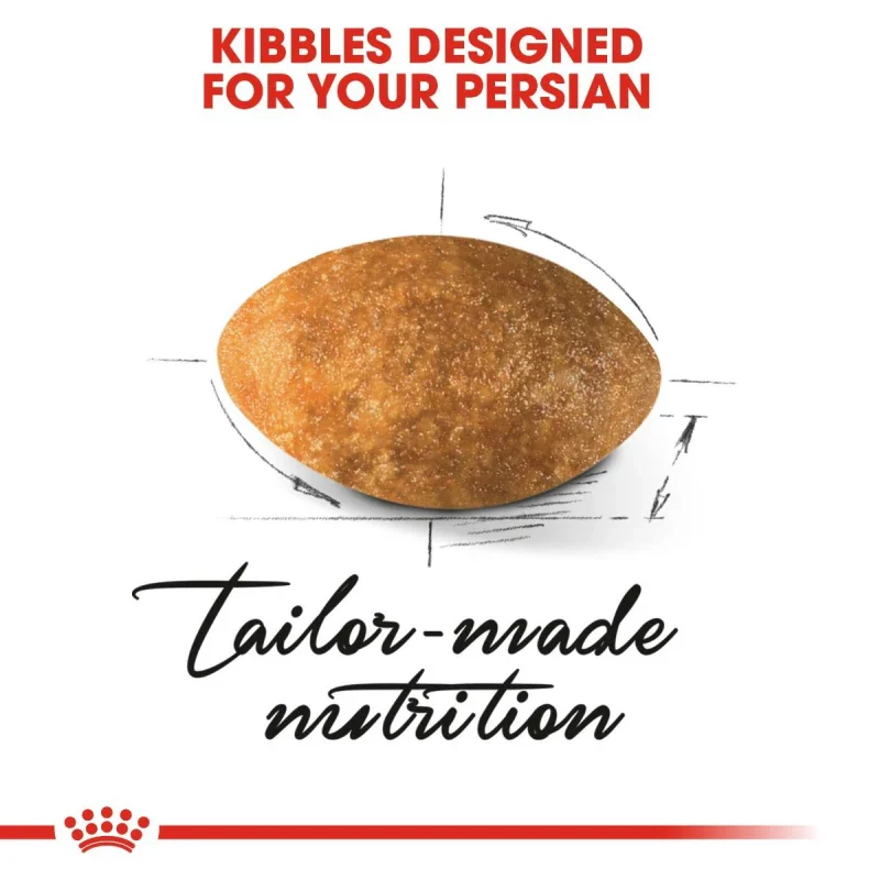 طعام جاف للقطط الفارسية للتحكم بكرات الشعر ودعم الهضم، 4 كجم من Royal Canin - Image 2