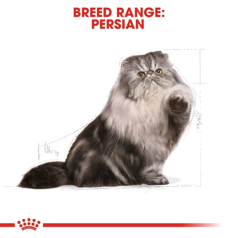 طعام جاف للقطط الفارسية للتحكم بكرات الشعر ودعم الهضم، 4 كجم من Royal Canin - Image 3