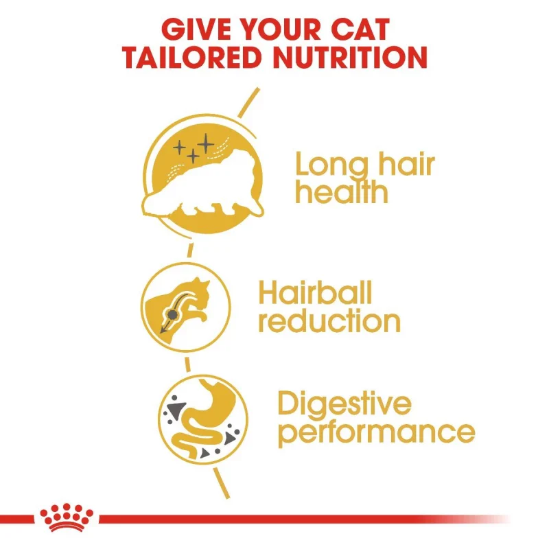 طعام جاف للقطط الفارسية للتحكم بكرات الشعر ودعم الهضم، 4 كجم من Royal Canin - Image 4