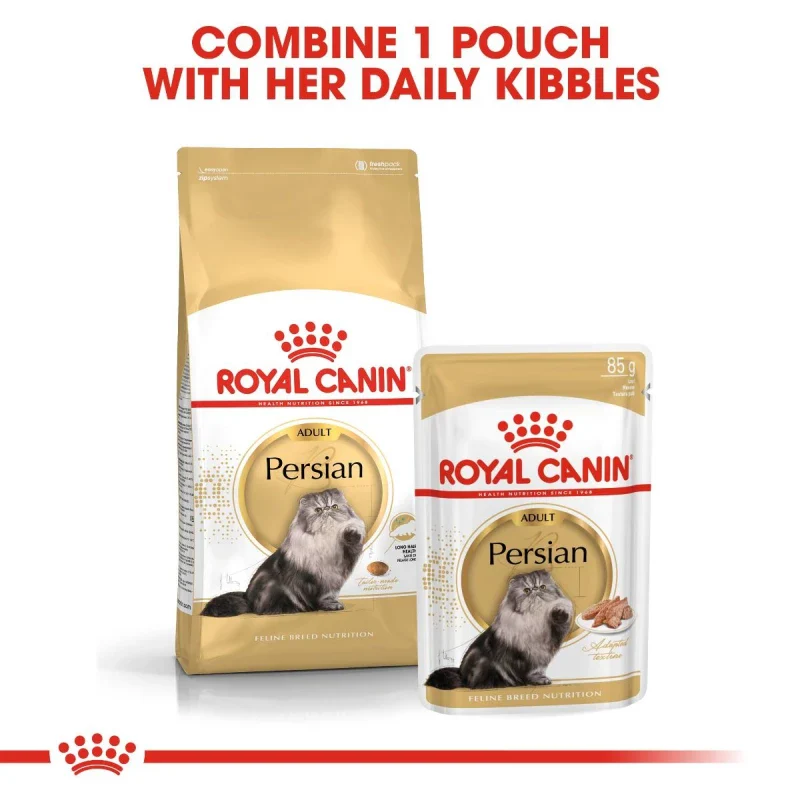 طعام جاف للقطط الفارسية للتحكم بكرات الشعر ودعم الهضم، 4 كجم من Royal Canin - Image 7