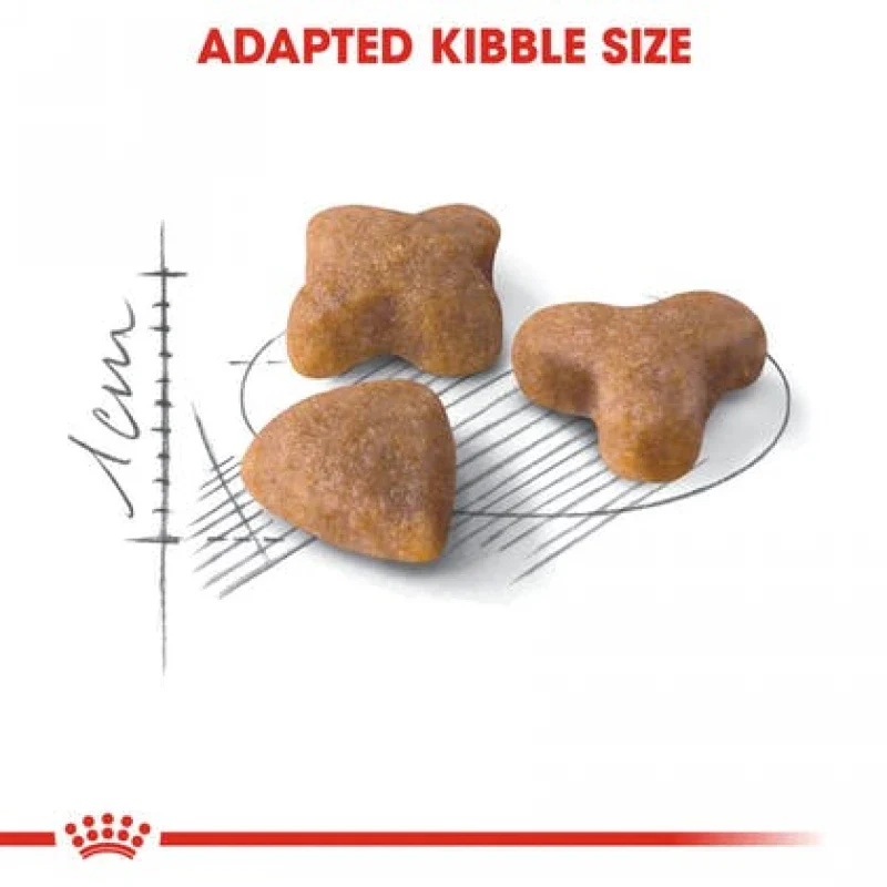 طعام جاف للقطط الحساسة (Sensible) لصحة الهضم والبول، 4 كجم من Royal Canin - Image 3