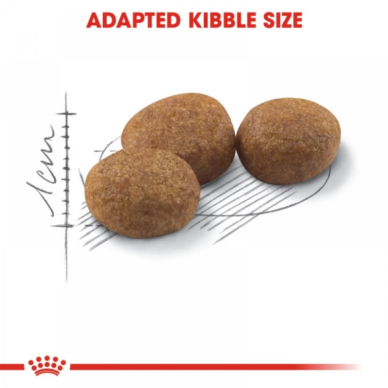 طعام جاف للقطط المعقمة للحفاظ على الوزن وصحة البول، 2 كجم من Royal Canin - Image 6