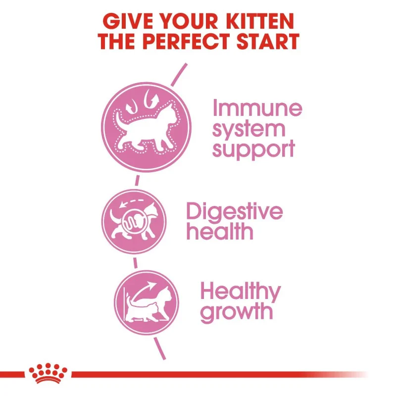 طعام جاف للقطط الصغيرة لدعم المناعة والنمو الصحي، 13 كجم من Royal Canin - Image 4