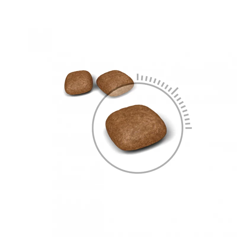 طعام جاف للقطط لصحة المسالك البولية ومنع الحصوات، 2 كجم من Royal Canin - Image 3