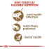 طعام رطب هلام للقطط 12+ سنوات، 12×85غ من ROYAL - Image 3