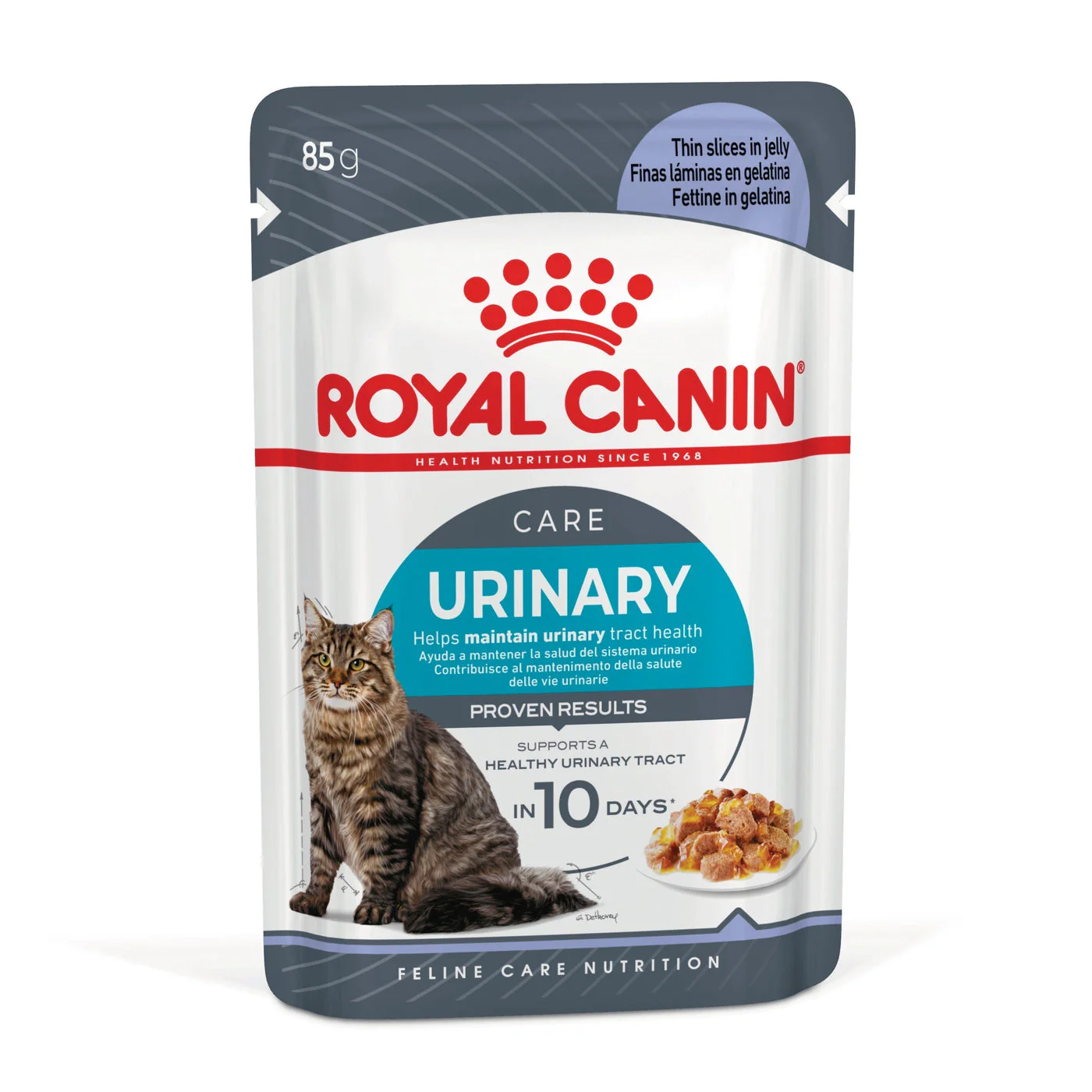 طعام رطب للقطط Urinary Care لدعم صحة المسالك البولية، 12x85غ من Royal Canin