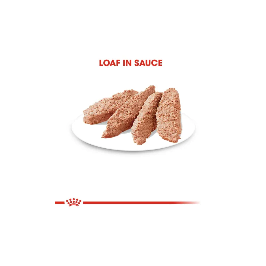 طعام رطب لوف للقطط البالغة، 12×85غ من ROYAL - Image 3