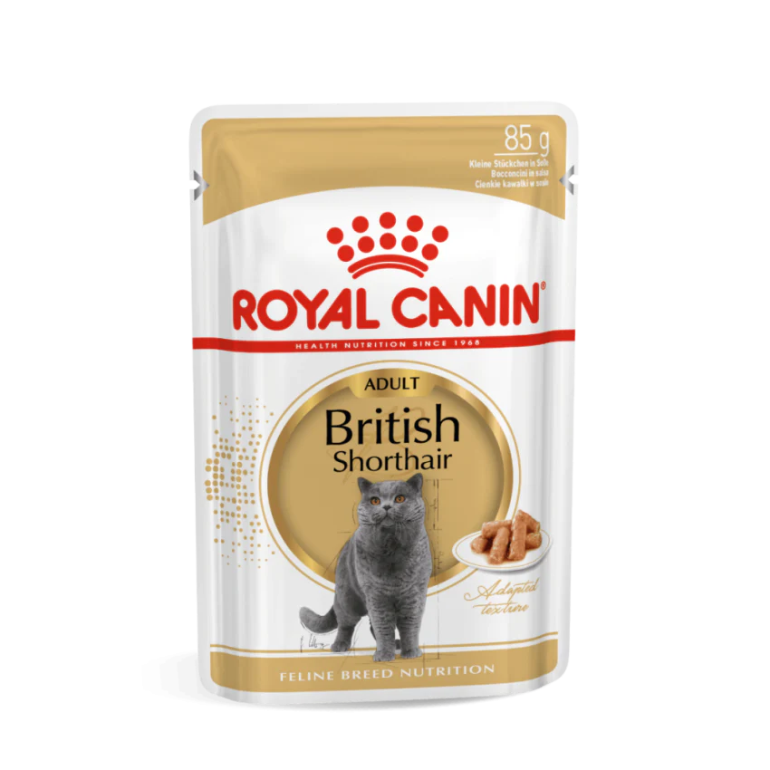 طعام رطب صلصة لقطط البريطاني قصير الشعر، 12×85غ من ROYAL