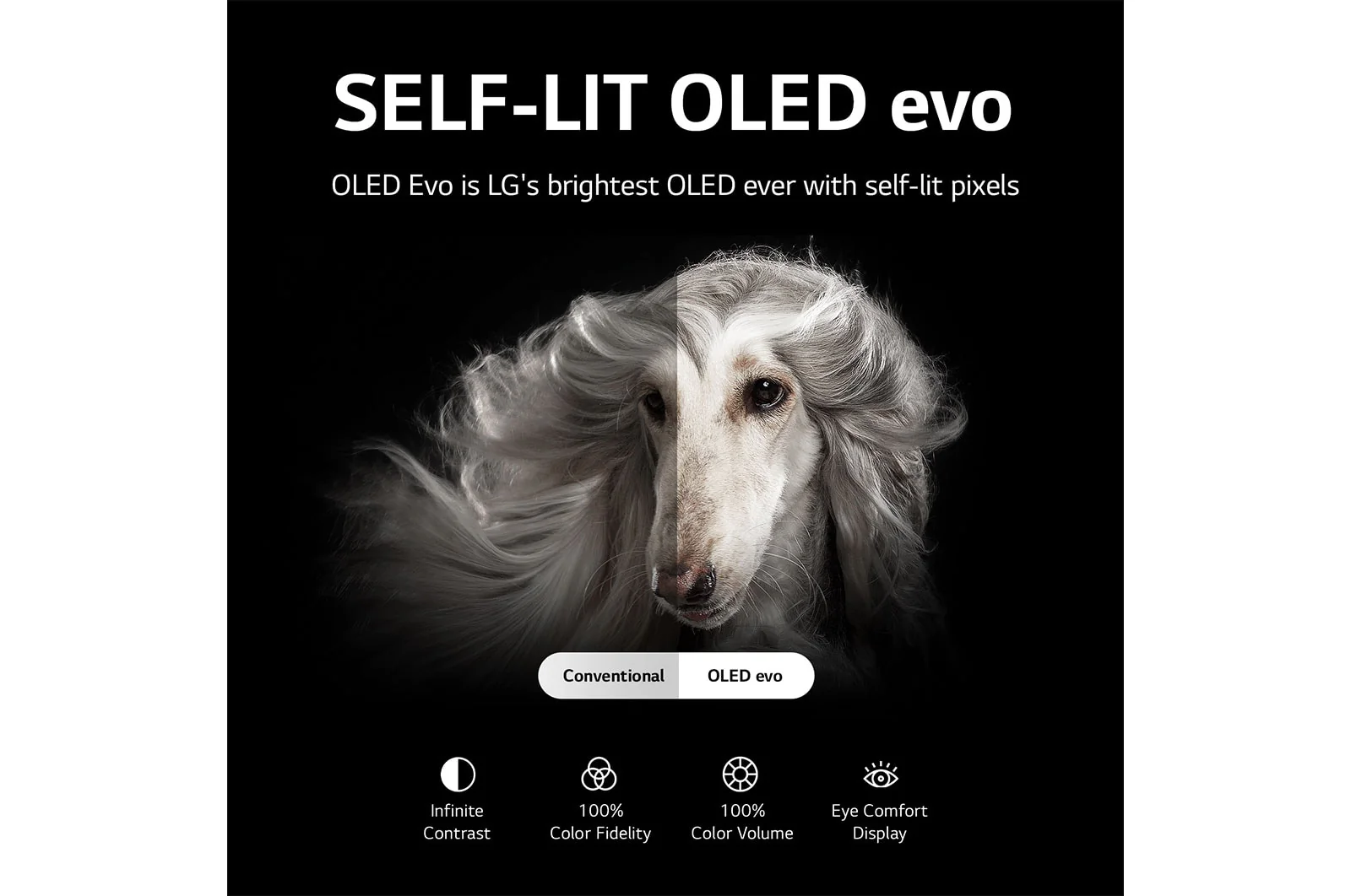 تلفزيون OLED C2 77 بوصة ال جي - Image 14